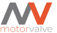 Логотип motorvalve.ru